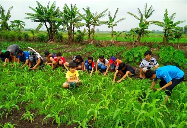 Tam Nong Farm