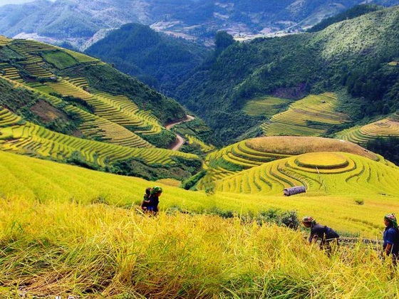 Vietnam cheap tours