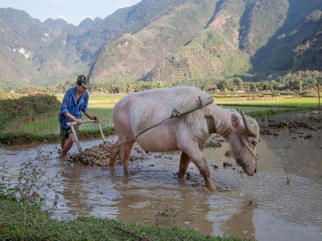 Vietnam Travel 63