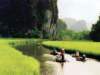 Vietnam Travel 83