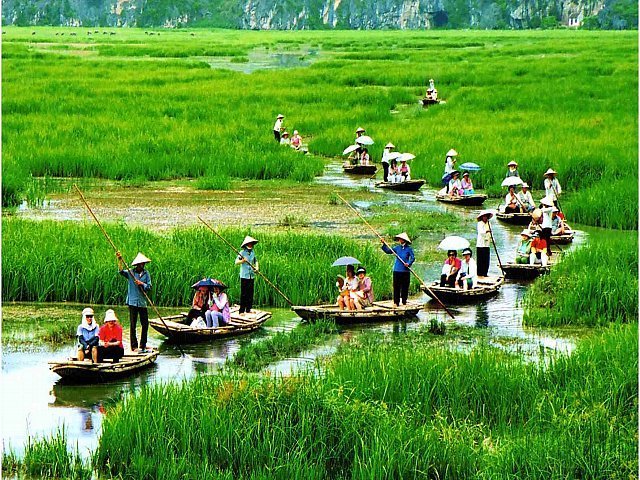 Vietnam Travel 88